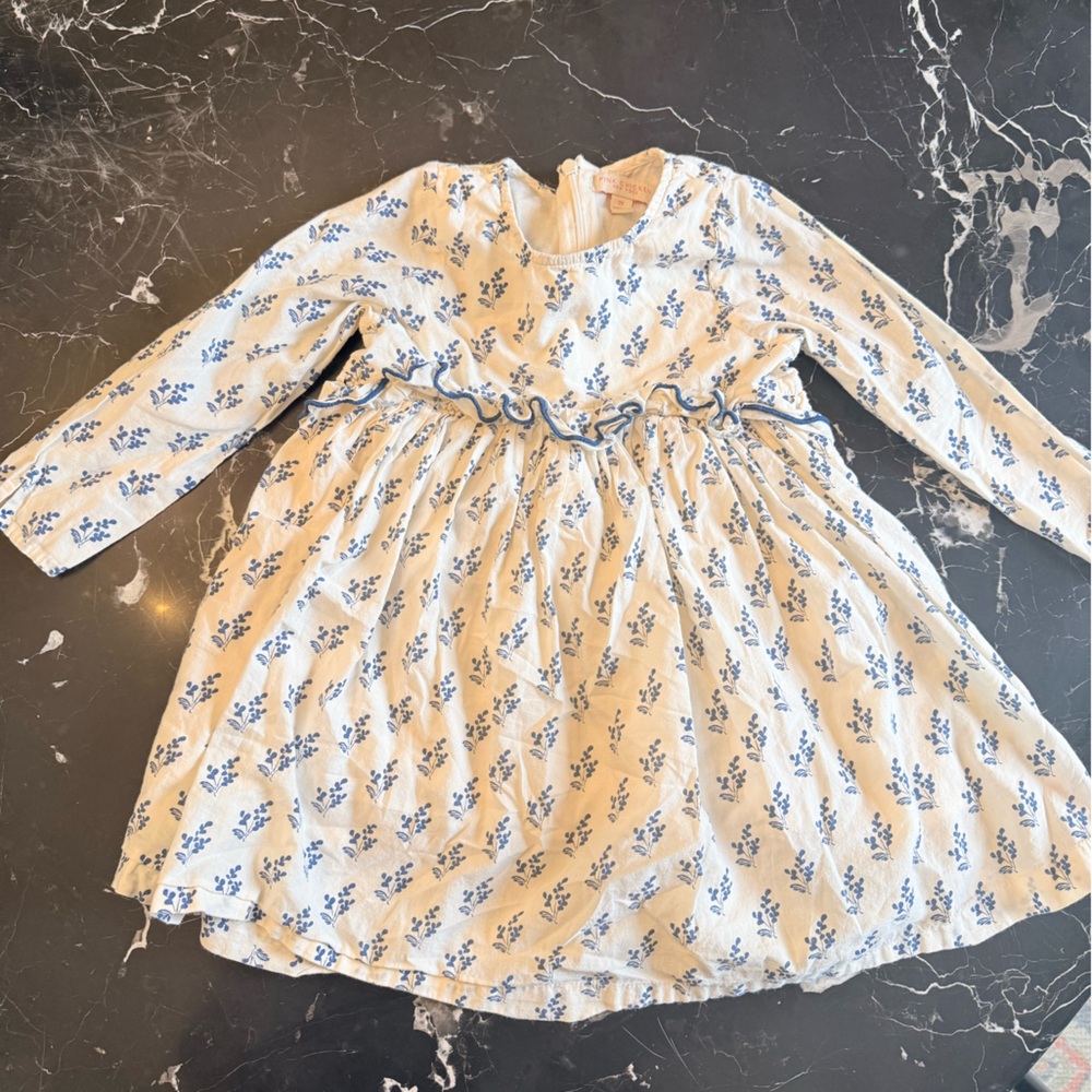 Pink Chicken Cream and Blue Floral Dress